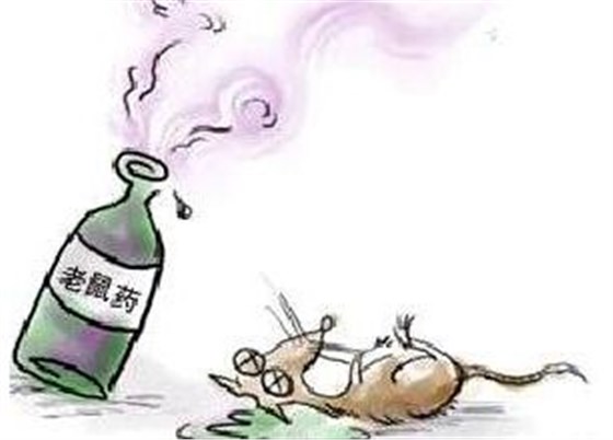 景隆物理捕鼠器厂家