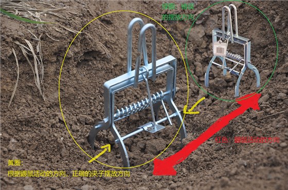 鼹鼠夹使用