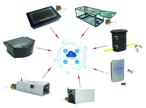 物联网捕鼠器是怎么回事