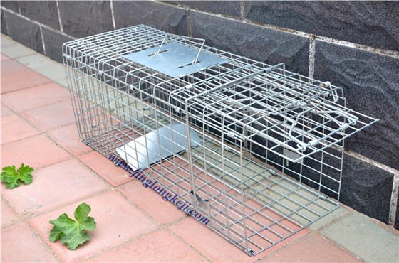 景隆流浪猫诱捕笼的使用方法