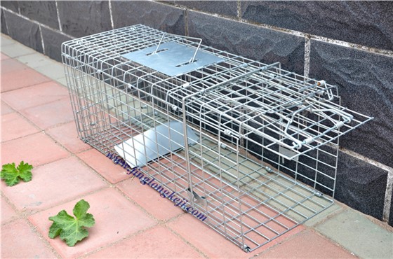 流浪猫救助诱捕笼厂家沧州景隆