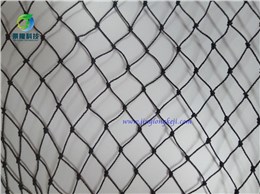 沧州景隆防鸟网 厂家直销