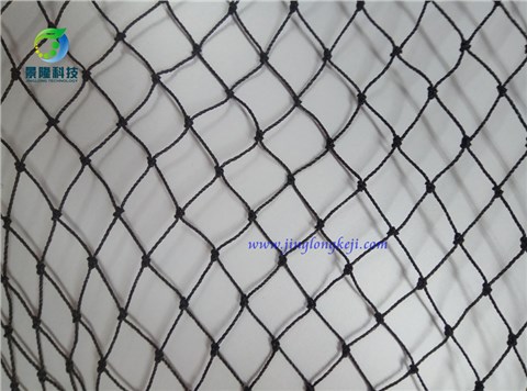 沧州景隆防鸟网 厂家直销