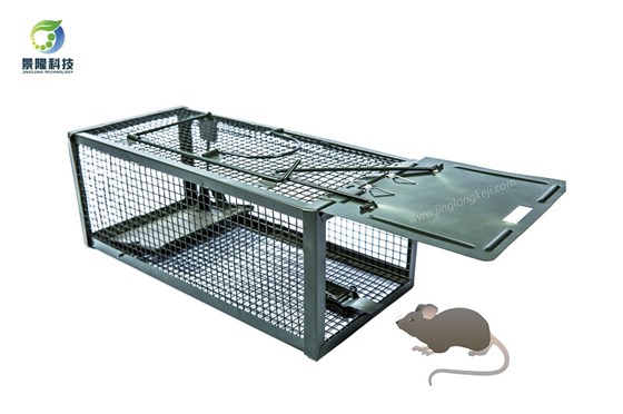灭鼠笼怎么用才不会被其它老鼠发现