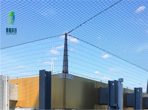 沧州景隆防鸟网 厂家直销