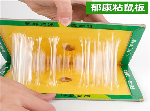 景隆郁康灭鼠粘鼠板 强力老鼠贴加厚粘耗子板