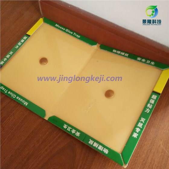北京粘鼠板批发与你分享粘鼠板的用法与用量