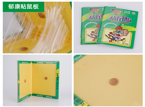 景隆郁康灭鼠粘鼠板 强力老鼠贴加厚粘耗子板