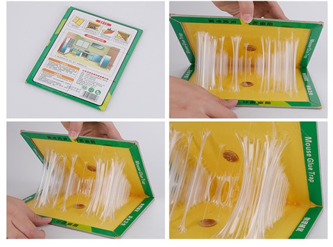 景隆郁康灭鼠粘鼠板 强力老鼠贴加厚粘耗子板