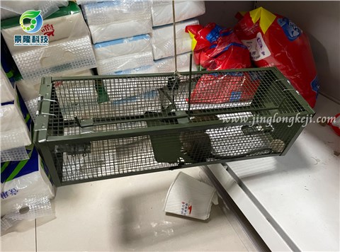 景隆JL-2012双开门捕鼠笼 踏板式老鼠笼捕鼠器