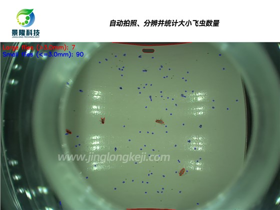 智能灭蝇灯虫害影像