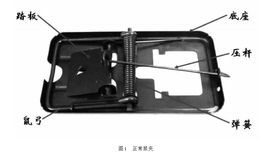 老鼠夹的构造是怎么样的