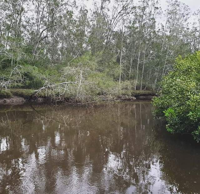 据工厂灭蝇灯厂家调查，水波可促使水面取食的幼虫频繁地潜入水中，妨害它们的取食，不利于它们的正常生长发育