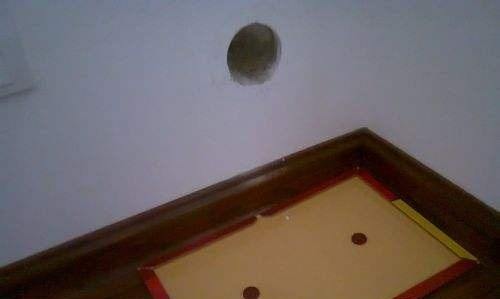 粘鼠板防尘罩厂家教你墙洞边可以放粘鼠板