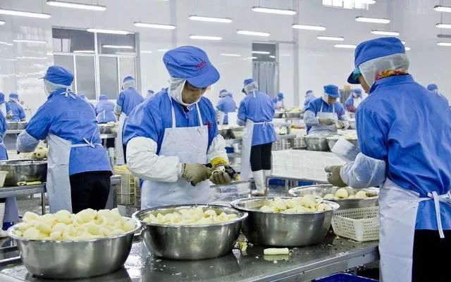 为什么食品车间和储物区要用金属灭蝇灯