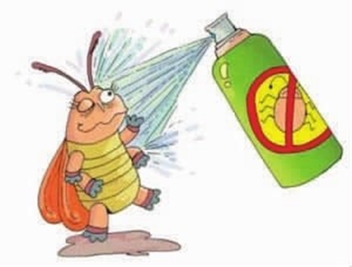蟑螂盒厂家介绍用除虫喷雾和除蟑螂药