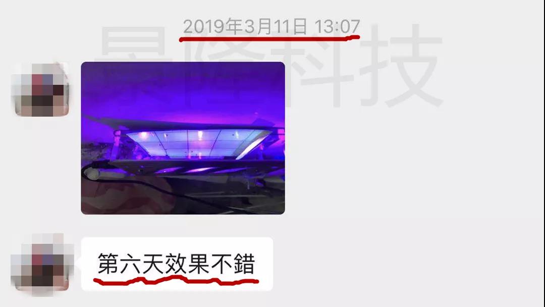 景隆LED粘捕式灭蝇灯反馈