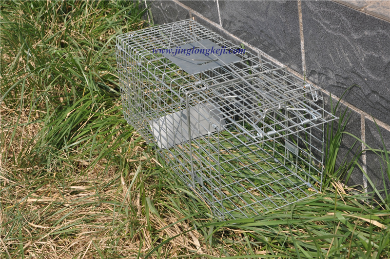 逮猫工具——景隆捕猫笼